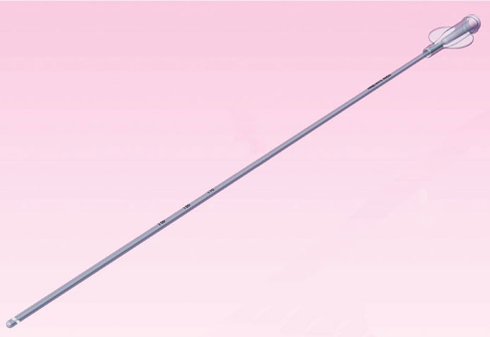 Фото Катетер внутриматочный с гибким открытым дистальным концом, Ainseblue-Т STERILE-24PZ/SCATOLA диаметр-1,10мм,длина-195мм FERTIRAM 