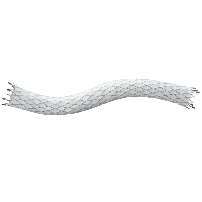 Фото Стент-графт сосудистый FLUENCY Plus (FLUENCY Plus Vascular Stent Graft). с принадлежностями