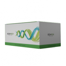 Фото Набор для выделения геномной ДНК EcoPURE Genomic DNA Kit, 50 реакций, EcoTech Biotechnology
