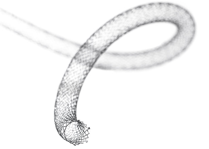 Фото Система для стентирования сосудов LifeStent®  Solo™